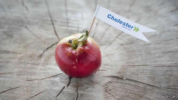 Wyniki konkursu Cholester „Przepis na zdrowie”
